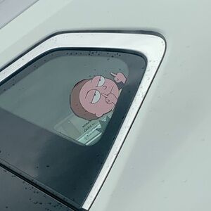 Meet your Posher, Chazlhen miel